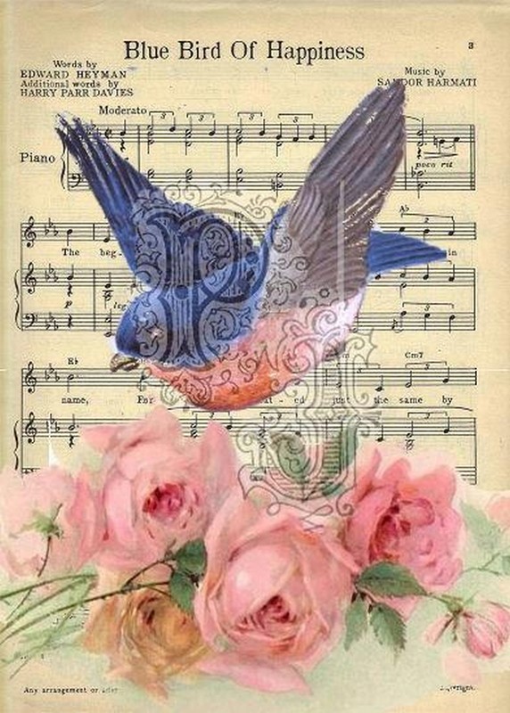 Blue Bird Music