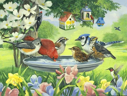 BIRDS