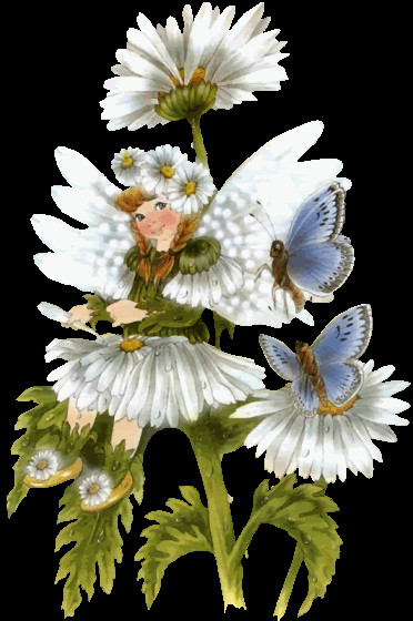 LA PETITE FEE DES FLEURS