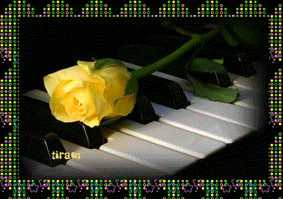 ROSES AND PIANO